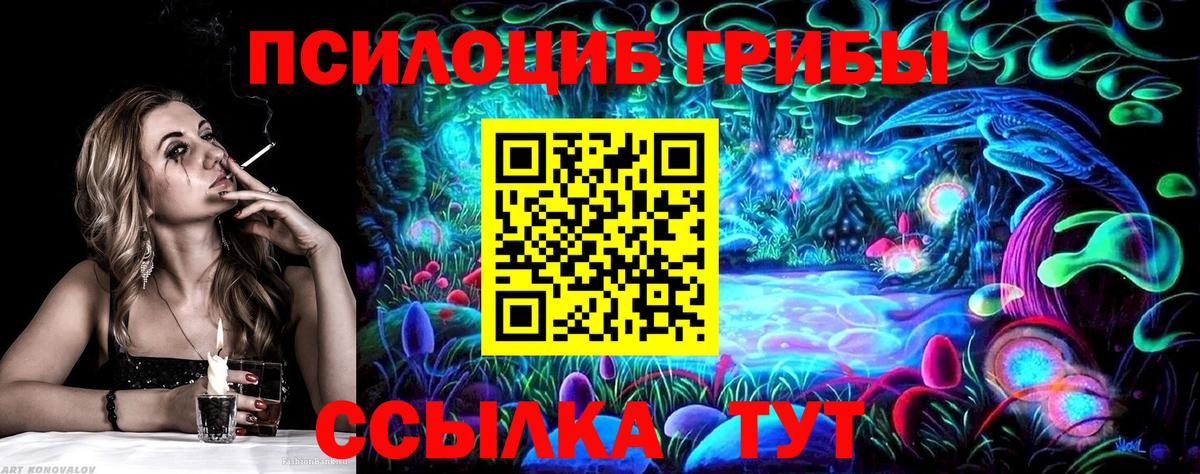 Псилоцибиновые грибы Psilocybe Дербент