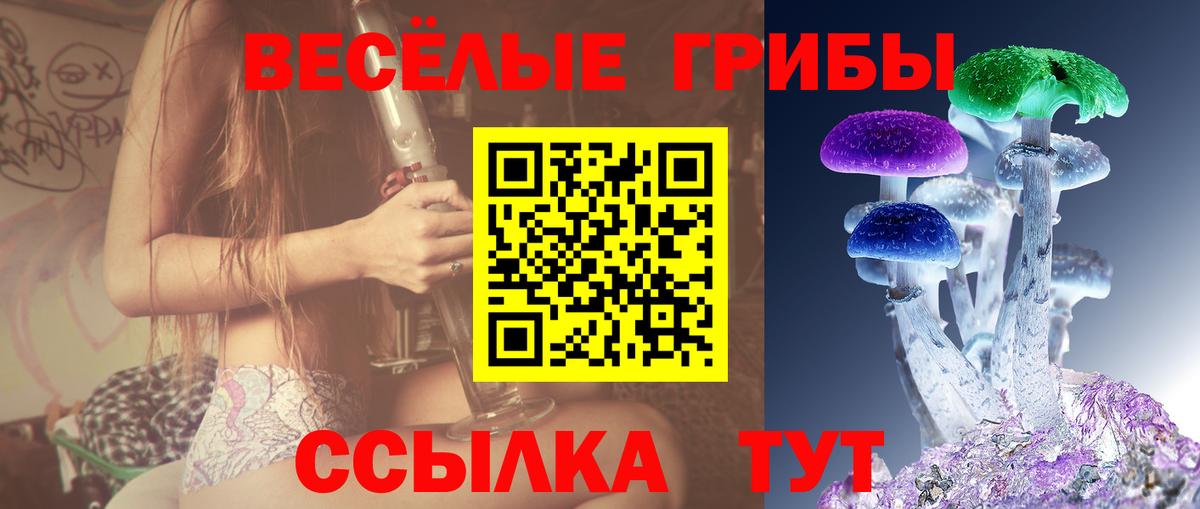 Дербент  Галлюциногенные грибы Magic Shrooms  даркнет сайт  Вход с VPN 